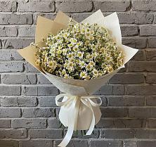 Букет цветов из:  Ромашки #REPLACE_PRED# Белоусово