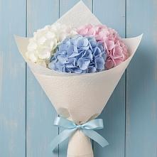 Букет цветов из:  Гортензия #REPLACE_PRED# Белоусово