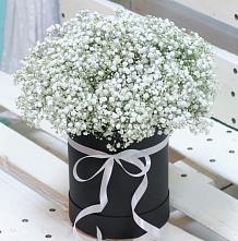 Цветочная композиция из Гипсофила в шляпной коробке #REPLACE_PRED# Белоусово