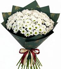 Букет цветов из:  Хризантемы #REPLACE_PRED# Белоусово