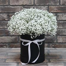 Цветочная композиция из Гипсофила в шляпной коробке в Белоусово