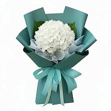 Букет цветов из:  Гортензия в Белоусово